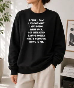 Pretty I Came I Saw I Forgot What I Was Doing Funny Quote Sweater