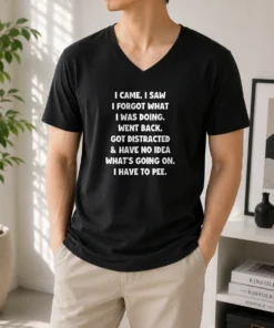Pretty I Came I Saw I Forgot What I Was Doing Funny Quote V-Neck Shirt